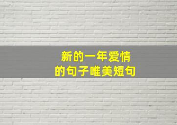 新的一年爱情的句子唯美短句