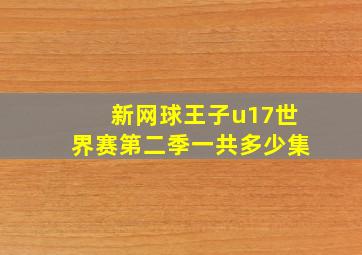 新网球王子u17世界赛第二季一共多少集