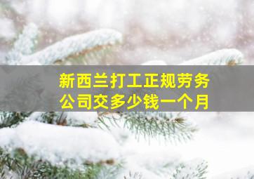 新西兰打工正规劳务公司交多少钱一个月