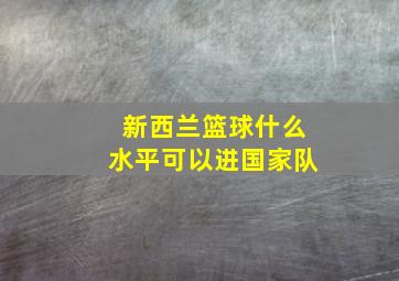 新西兰篮球什么水平可以进国家队