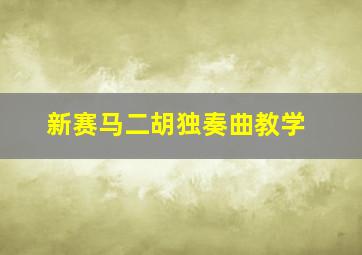 新赛马二胡独奏曲教学