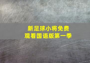 新足球小将免费观看国语版第一季