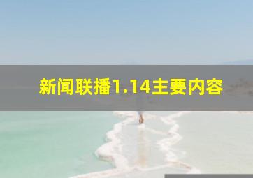 新闻联播1.14主要内容