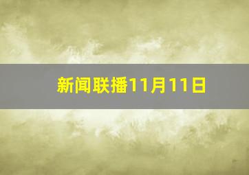 新闻联播11月11日