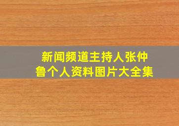 新闻频道主持人张仲鲁个人资料图片大全集