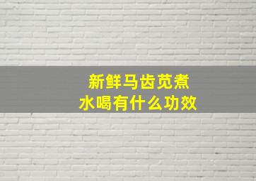 新鲜马齿苋煮水喝有什么功效