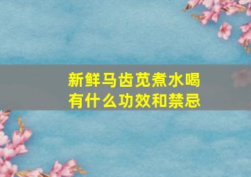 新鲜马齿苋煮水喝有什么功效和禁忌