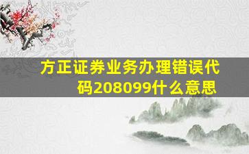 方正证券业务办理错误代码208099什么意思