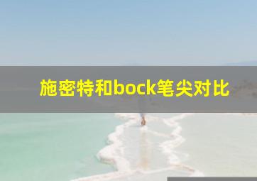 施密特和bock笔尖对比