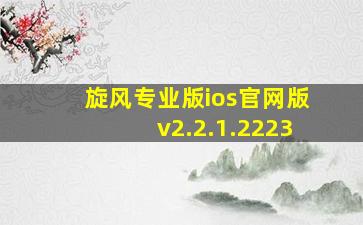 旋风专业版ios官网版v2.2.1.2223