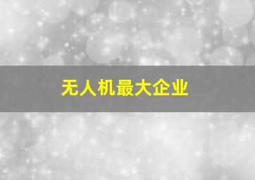 无人机最大企业