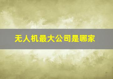 无人机最大公司是哪家