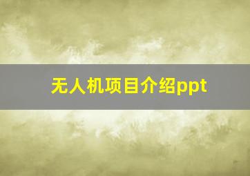 无人机项目介绍ppt