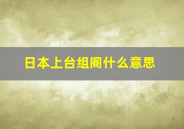 日本上台组阁什么意思