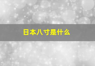 日本八寸是什么