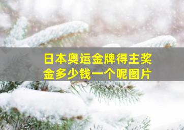 日本奥运金牌得主奖金多少钱一个呢图片