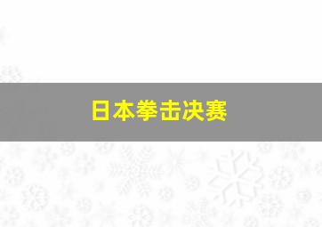 日本拳击决赛