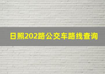 日照202路公交车路线查询