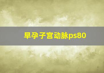 早孕子宫动脉ps80