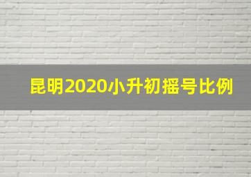 昆明2020小升初摇号比例