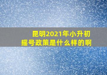 昆明2021年小升初摇号政策是什么样的啊