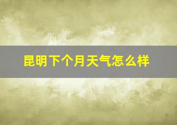 昆明下个月天气怎么样