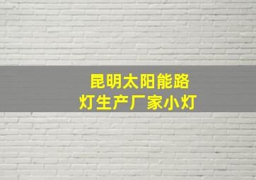 昆明太阳能路灯生产厂家小灯