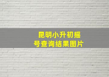 昆明小升初摇号查询结果图片