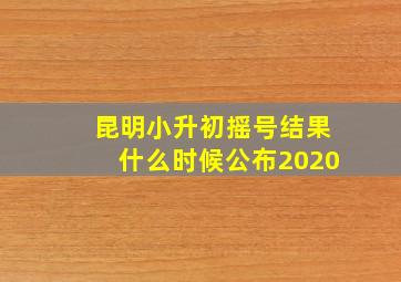 昆明小升初摇号结果什么时候公布2020