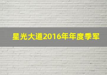 星光大道2016年年度季军