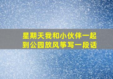 星期天我和小伙伴一起到公园放风筝写一段话