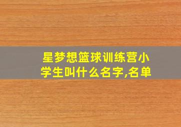 星梦想篮球训练营小学生叫什么名字,名单