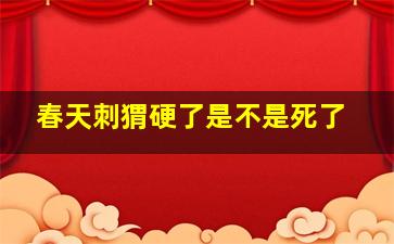 春天刺猬硬了是不是死了