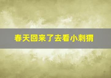 春天回来了去看小刺猬