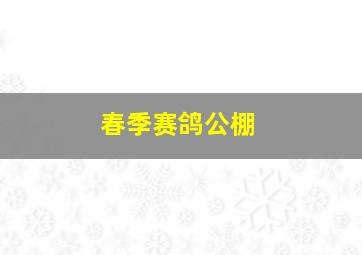 春季赛鸽公棚