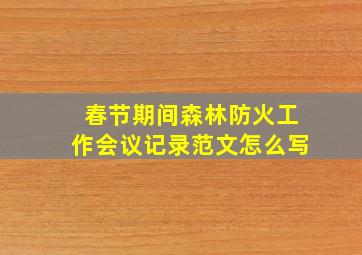 春节期间森林防火工作会议记录范文怎么写