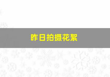 昨日拍摄花絮