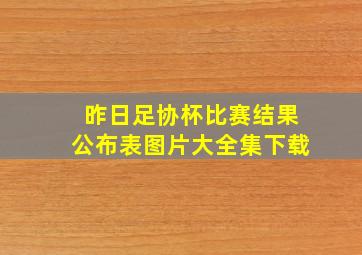 昨日足协杯比赛结果公布表图片大全集下载