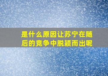 是什么原因让苏宁在随后的竞争中脱颖而出呢