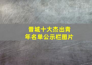 晋城十大杰出青年名单公示栏图片