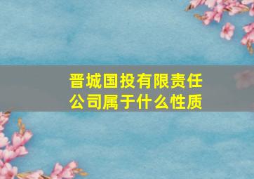 晋城国投有限责任公司属于什么性质