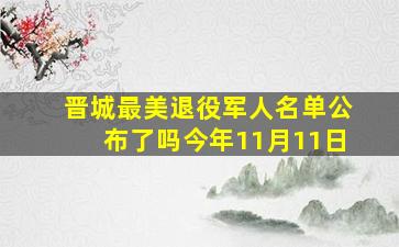 晋城最美退役军人名单公布了吗今年11月11日