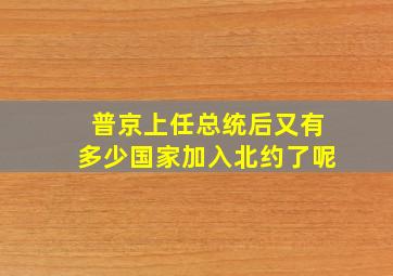 普京上任总统后又有多少国家加入北约了呢