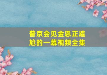 普京会见金恩正尴尬的一幕视频全集