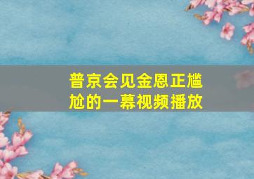 普京会见金恩正尴尬的一幕视频播放