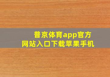 普京体育app官方网站入口下载苹果手机