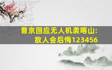 普京回应无人机袭喀山:敌人会后悔123456