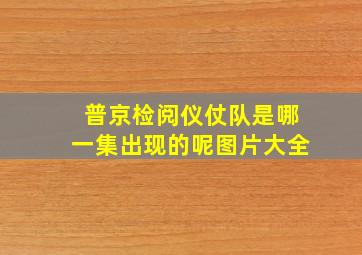 普京检阅仪仗队是哪一集出现的呢图片大全