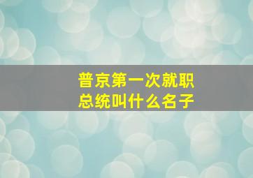 普京第一次就职总统叫什么名子