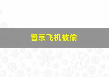 普京飞机被偷